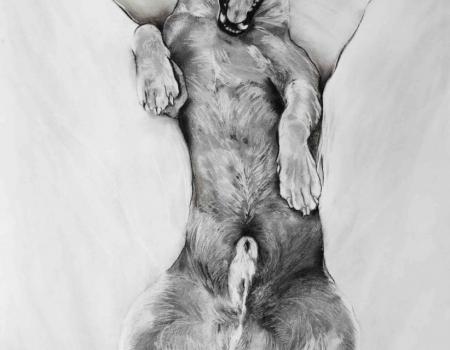 Permis de crier, 2020