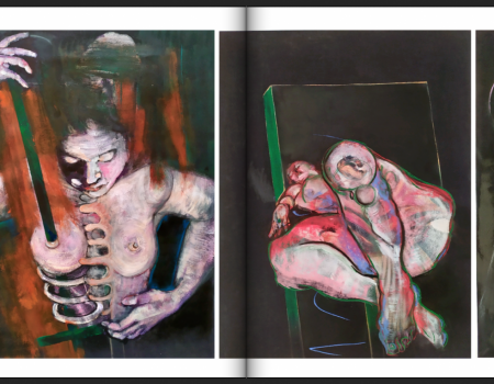 Le livre de l'expo CHAIR AIMEE