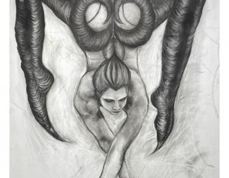 INSTALLATION Arachnée