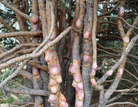Prière de Toucher de Nathalie Broyelle- Sept 2025